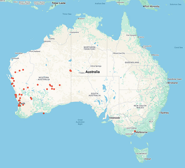 collecting locality map for 'Brand, G.'