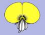 image fullsize