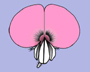 image fullsize
