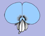 image fullsize