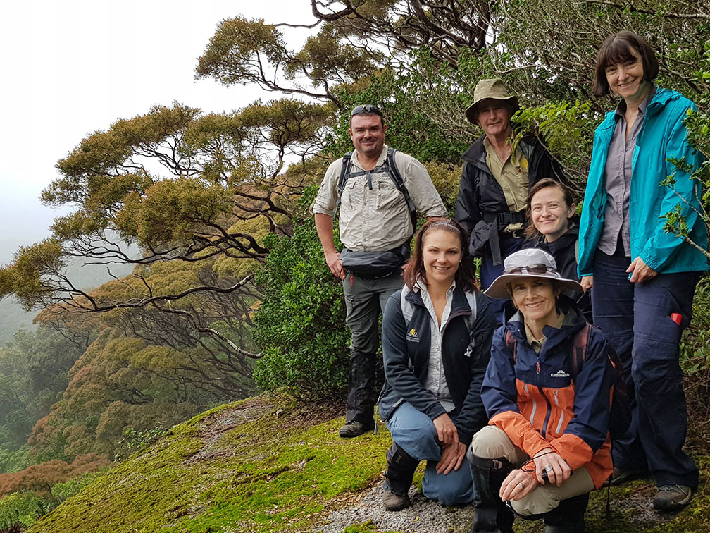 Seed collecting in Wet Tropics